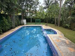 Leedon Park (D10), Detached #498096061